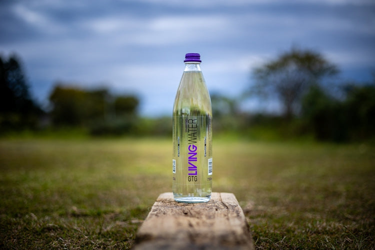 How to Choose the Right Alkaline Water Bottle for Your Lifestyle?